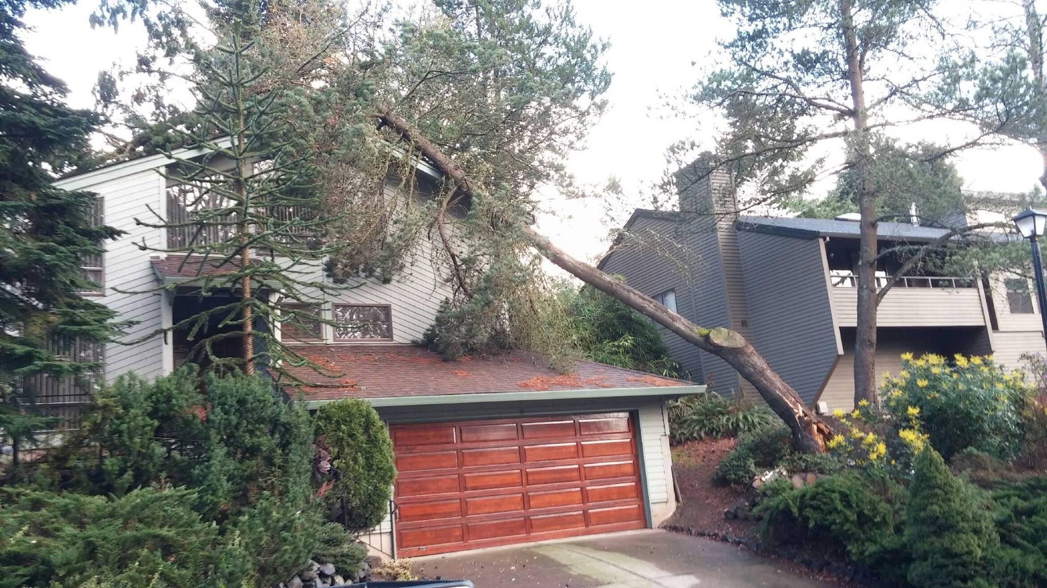 imgi_190_fallen-tree-on-home-from-storm