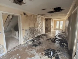 How Long Does Fire Damage Restoration Take in Sarasota, FL  