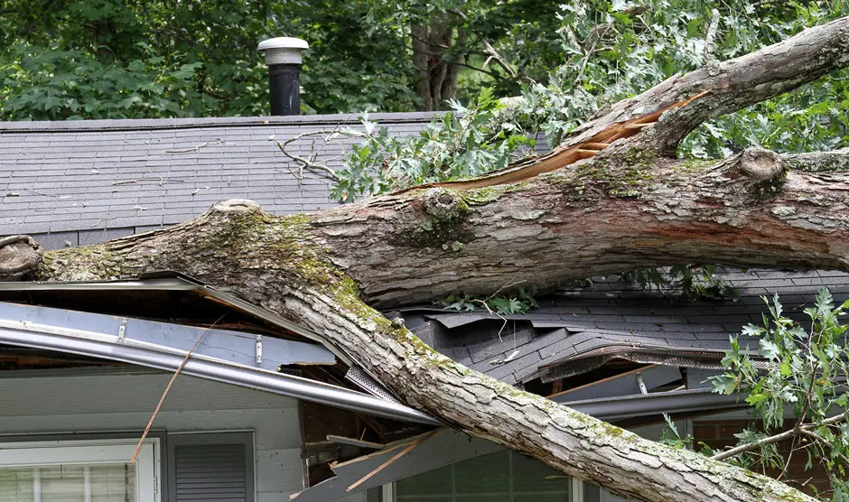 Top-Rated Storm Damage Restoration in Clearwater, FL 