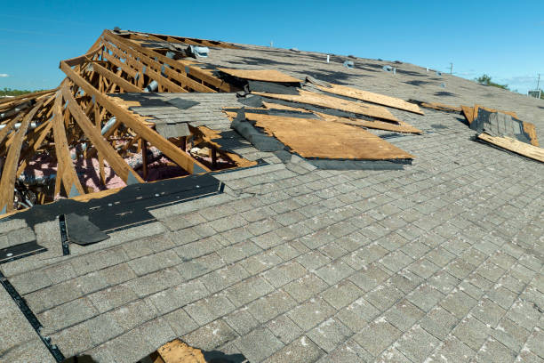 Trusted Storm Damage Restoration in Polk FL