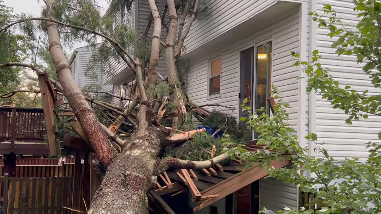 Best Storm Damage Restoration Services in Polk, FL 