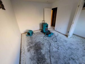 Reliable Water Damage Restoration Services in Pinellas, FL