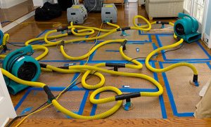 Professional Water Damage Restoration Services in Pinellas, FL