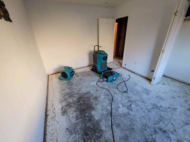 Reliable Water Damage Restoration Services in Pinellas, FL