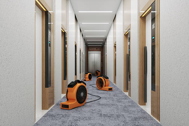 Trusted Water Damage Restoration in Pinellas FL