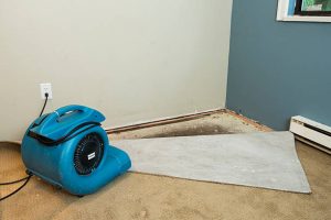 Best Water Damage Restoration Services in Pinellas, FL 