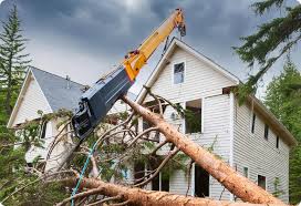 Best storm damage restoration