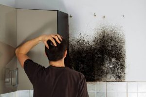 Smoke Damage Removal