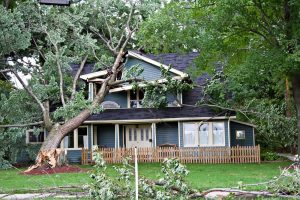Storm Damage Restoration
