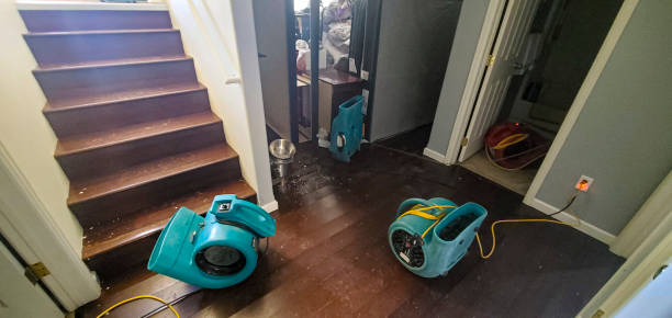 Water Damage Restoration Services in Clearwater FL