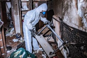 Damage Restoration