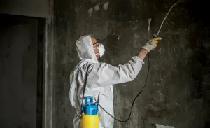 Fire Damage Restoration Services in Clearwater FL