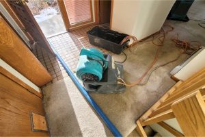 Water Damage and Mold Prevention